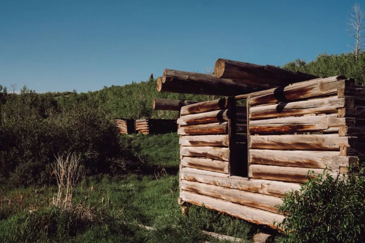 cabin movie