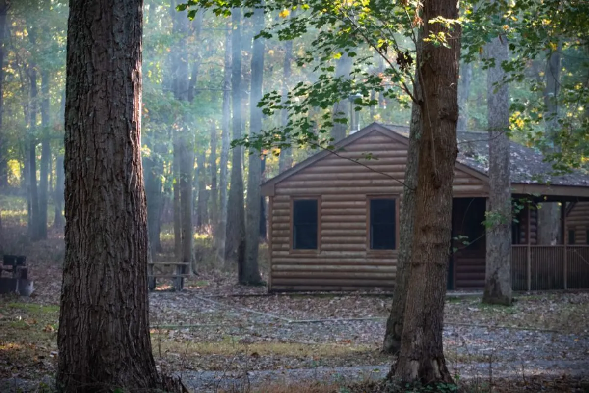 cabin movie